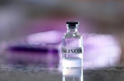 Ilmuwan Berhasil Temukan Vaksin Anti Sakau untuk Pecandu Narkoba