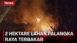 2 Hektare Lahan di Palangka Raya Terbakar, Tim Gabungan Terkendala Akses <