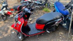 Kecelakaan di Takisung Tanah Laut, Scoopy dan Supra Adu Banteng, 1 Orang Tewas<