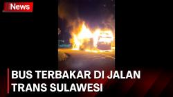 Bus Terbakar Picu Kepanikan  di Jalan Trans Sulawesi