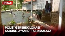 Pelaku Judi Sabung Ayam Nekat Lompat ke Kolam saat Digerebek Polisi