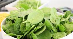 Lezatnya Bayam Dikonsumsi Sehari-hari, Ternyata Bagus untuk Hidrasi Tubuh dan Tulang 