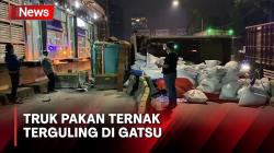 Truk Angkut Pakan Ternak Tabrak Separator Busway dan Terguling di Gatot Subroto