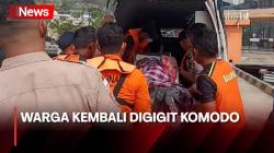 Cari Asam, Warga Lokal Kembali Digigit Komodo hingga Harus Jalani Operasi