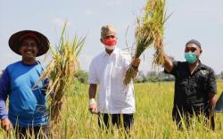 Ganjar Pranowo Janji Stabilkan Harga Bahan Pokok, Ini 4 Faktor yang Mempengaruhinya<