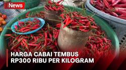 Kian Menggigit, Harga Cabai Tembus Rp300.000 per Kilogram di Baubau