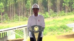 Jokowi Wanti-wanti Tak Ada Kabel Listrik Terlihat di IKN: Harus di Bawah Tanah!