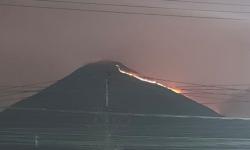 Gunung Penanggungan Kebakaran, Kobaran Api Terlihat hingga Sidoarjo dan Pasuruan