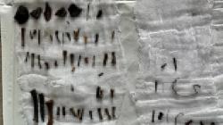 7 Kerangka Janin Ditemukan dalam Septic Tank Rumah Aborsi di Jaktim