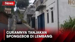 Viral! Tanjakan Spongebob di Lembang Ternyata Begitu Curam