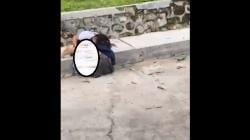 Viral Video 2 Remaja Perempuan Berkelahi Sengit hingga Berguling di Lantai<