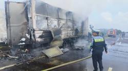 Truk Ekspedisi Terbakar di Tol Pekanbaru, Api Diduga Muncul dari Sepeda Listrik yang Diangkut<