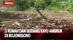 3 Rumah dan Gudang Kayu di Bojonegoro Ambruk Tersapu Angin Kencang