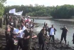 Penanaman Pohon Mangrove di Badung, DPW Partai Perindo: Kita Berpartisipasi Jaga Lingkungan