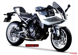 Makin Seksi, Suzuki GSX-8S Tampil dengan Fairing Setengah