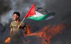 6 Artis Hollywood yang Dukung Palestina, Paling Terakhir Saudara Kandung