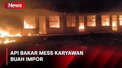 6 Mess Karyawan Perusahaan Buah Impor Dilalap Api di Cakung