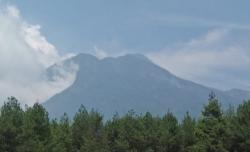 Hutan Lindung di Gunung Kawi Malang Terbakar, Petugas Kesulitan Padamkan Api