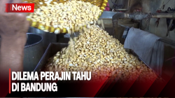 Harga Kedelai Melonjak, Perajin Tahu di Kota Bandung Terancam Gulung Tikar <