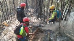 Kebakaran Gunung Kawi Meluas hingga 45 Hektare, Titik Api Sulit Dijangkau