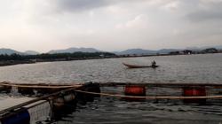 Banjir Kiriman Terjang KJA Waduk Cirata Cianjur, 50 Ton Ikan Ludes<