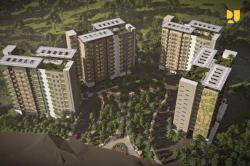 Otorita IKN Catat Ada 3.889 Spesies Hewan di Sekitar IKN, di Antaranya Terancam Punah