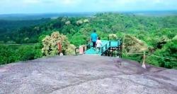 Viral, Menjelajahi Hutan Digital di Belitung sambil Lihat Tarsius, seperti Ini Suasananya 