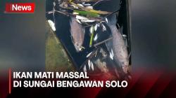 Kematian Massal Ikan di Sungai Bengawan Solo Diduga Dampak Blooming Eceng Gondok