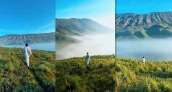 Viral, Pemandangan Cantik Savana Bromo Menghijau, Suasananya seperti Negeri Dongeng