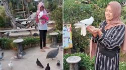 5 Wisata Edukasi di Kudus untuk Keluarga, Ada Taman Berisi 1.000 Merpati 
