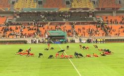 Terungkap! Ini Alasan Pemain Iran Push Up usai Gilas Brasil di Piala Dunia U-17 2023