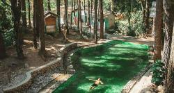 Kampung Unik di Semarang Punya Kolam Renang Alami di Hutan Pinus Suasananya Sejuk