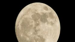 Fisikawan Ini Ingin Kirim DNA ke Bulan, Berharap Bisa Bermanfaat untuk Alien