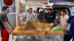 Bayi Pasutri Cekcok Berdarah di Lampung Barat Terlahir Meninggal Dunia gegara Tertusuk Pisau