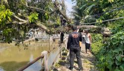 21 Bencana Landa Kota Bogor dalam Sehari, Paling Banyak Longsor dan Pohon Tumbang<