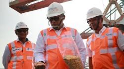 20.000 Ton Jagung Impor dari Vietnam Tiba di RI, Bisa Turunkan Harga?