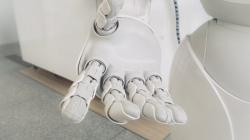 Dikira Kotak Sayuran, Pria Ini Tewas Gara-Gara Robot