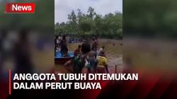 Ngeri! Ibu Hamil Tua Diterkam Buaya di Mimika