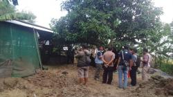 Indramayu Geger, 6 Sapi Kejang-kejang dan Keluarkan Busa lalu Mati<