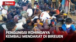Ratusan Pengungsi Rohingya Kembali Mendarat di Bireuen Aceh