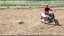 Cara Unik Petani Blora Tanam Padi Gogo, Bajak Lahan Sawah Pakai Motor<