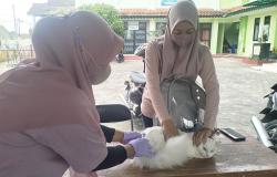 Siapkan 2.000 Dosis, Pemkot Jogja Gelar Vaksinasi Rabies Gratis <