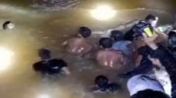 Viral Aksi Menegangkan Evakuasi Mayat Korban Serangan Buaya di Madina