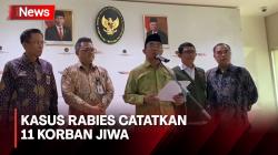 Menko PMK Sebut Kasus Rabies di NTT Catatkan 11 Korban Jiwa