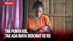  Balita Idap Gizi Buruk di Sikka, Setiap Hari Makan Ubi dan Pisang  