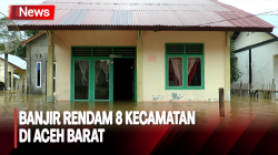  Ribuan Rumah Terendam Banjir di Aceh Barat, Warga Sudah Mulai Mengungsi