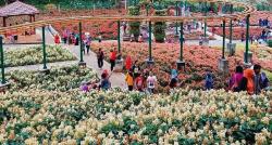 Kampung Unik di Kota Batu Punya Kebun Bunga Cantik Jadi Objek Wisata Suasananya seperti di Belanda