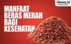 Infografis Manfaat Beras Merah bagi Kesehatan