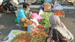 Harga Cabai Rawit di Tanah Laut Kalsel Tembus Rp125.000 per Kg<