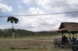 Alih Fungsi Lahan Pertanian di Gunungkidul Tembus 10.000 Hektare, Ini Penyebabnya<